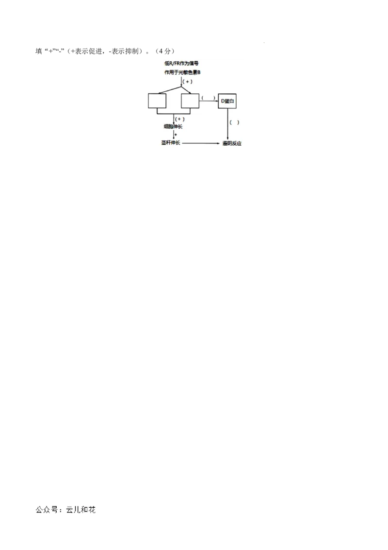 高二生物期中模拟卷01测试范围：人教版2019选必1全册（考试版A4）（新高考专用）(1)_1多考区联考_1014高二期中模拟卷（新高考通用）黄金卷：2024-2025学年高二上学期期中模拟考试