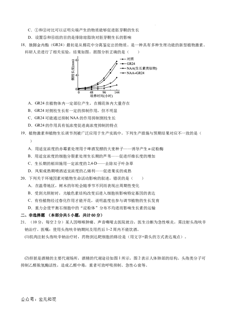 高二生物期中模拟卷01测试范围：人教版2019选必1全册（考试版A4）（新高考专用）(1)_1多考区联考_1014高二期中模拟卷（新高考通用）黄金卷：2024-2025学年高二上学期期中模拟考试