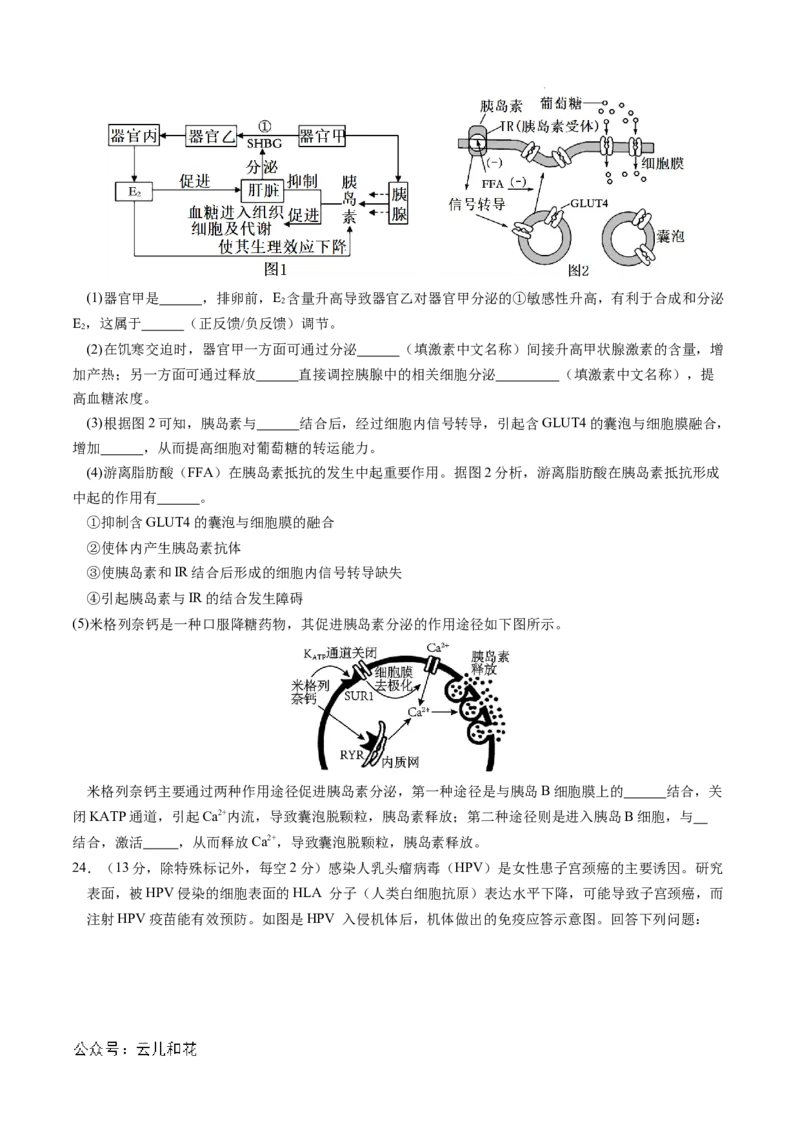 高二生物期中模拟卷01测试范围：人教版2019选必1全册（考试版A4）（新高考专用）(1)_1多考区联考_1014高二期中模拟卷（新高考通用）黄金卷：2024-2025学年高二上学期期中模拟考试