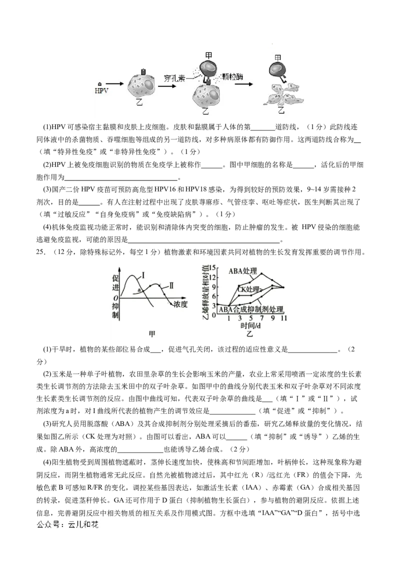 高二生物期中模拟卷01测试范围：人教版2019选必1全册（考试版A4）（新高考专用）(1)_1多考区联考_1014高二期中模拟卷（新高考通用）黄金卷：2024-2025学年高二上学期期中模拟考试