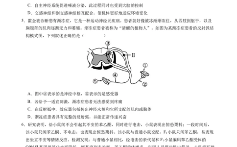 高二生物期中模拟卷01测试范围：人教版2019选必1全册（考试版A4）（新高考专用）(1)_1多考区联考_1014高二期中模拟卷（新高考通用）黄金卷：2024-2025学年高二上学期期中模拟考试