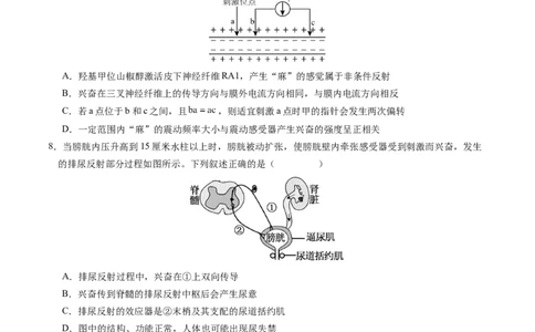 高二生物期中模拟卷01测试范围：人教版2019选必1全册（考试版A4）（新高考专用）(1)_1多考区联考_1014高二期中模拟卷（新高考通用）黄金卷：2024-2025学年高二上学期期中模拟考试
