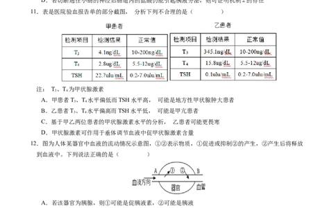 高二生物期中模拟卷01测试范围：人教版2019选必1全册（考试版A4）（新高考专用）(1)_1多考区联考_1014高二期中模拟卷（新高考通用）黄金卷：2024-2025学年高二上学期期中模拟考试