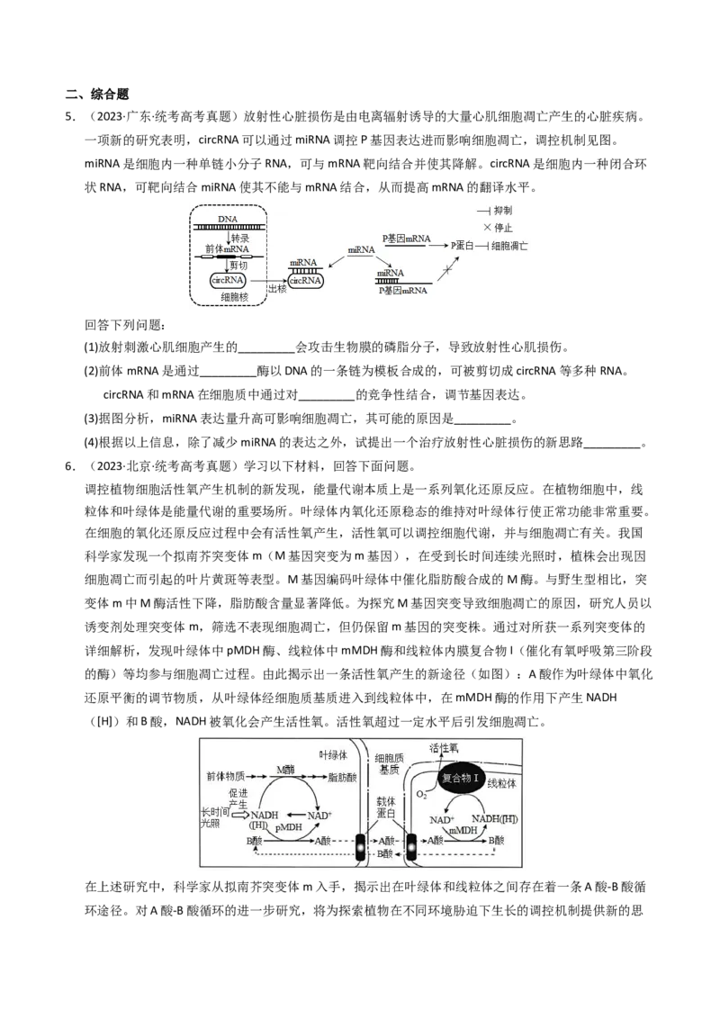 专题05细胞的生命历程（学生卷）_近10年高考真题汇编（必刷）_十年（2014-2024）高考生物真题分项汇编（全国通用）_2023年高考真题和模拟题生物分项汇编（全国通用）