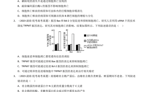专题05细胞的生命历程（学生卷）_近10年高考真题汇编（必刷）_十年（2014-2024）高考生物真题分项汇编（全国通用）_2023年高考真题和模拟题生物分项汇编（全国通用）