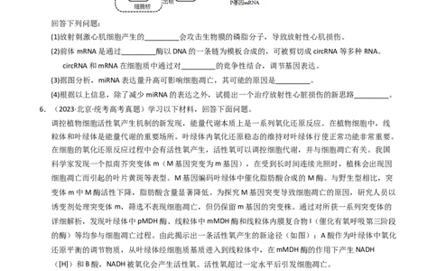 专题05细胞的生命历程（学生卷）_近10年高考真题汇编（必刷）_十年（2014-2024）高考生物真题分项汇编（全国通用）_2023年高考真题和模拟题生物分项汇编（全国通用）