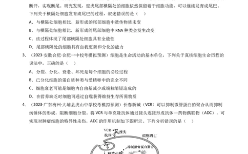 专题05细胞的生命历程（学生卷）_近10年高考真题汇编（必刷）_十年（2014-2024）高考生物真题分项汇编（全国通用）_2023年高考真题和模拟题生物分项汇编（全国通用）