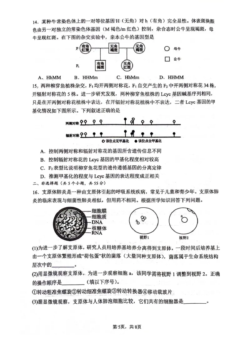 四川省绵阳南山中学2026届高三上学期第一次教学质量检测试题生物PDF版含答案_2025年9月_250904四川省绵阳南山中学2026届高三上学期第一次教学质量检测
