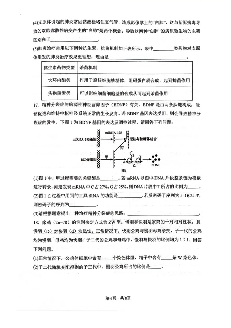 四川省绵阳南山中学2026届高三上学期第一次教学质量检测试题生物PDF版含答案_2025年9月_250904四川省绵阳南山中学2026届高三上学期第一次教学质量检测