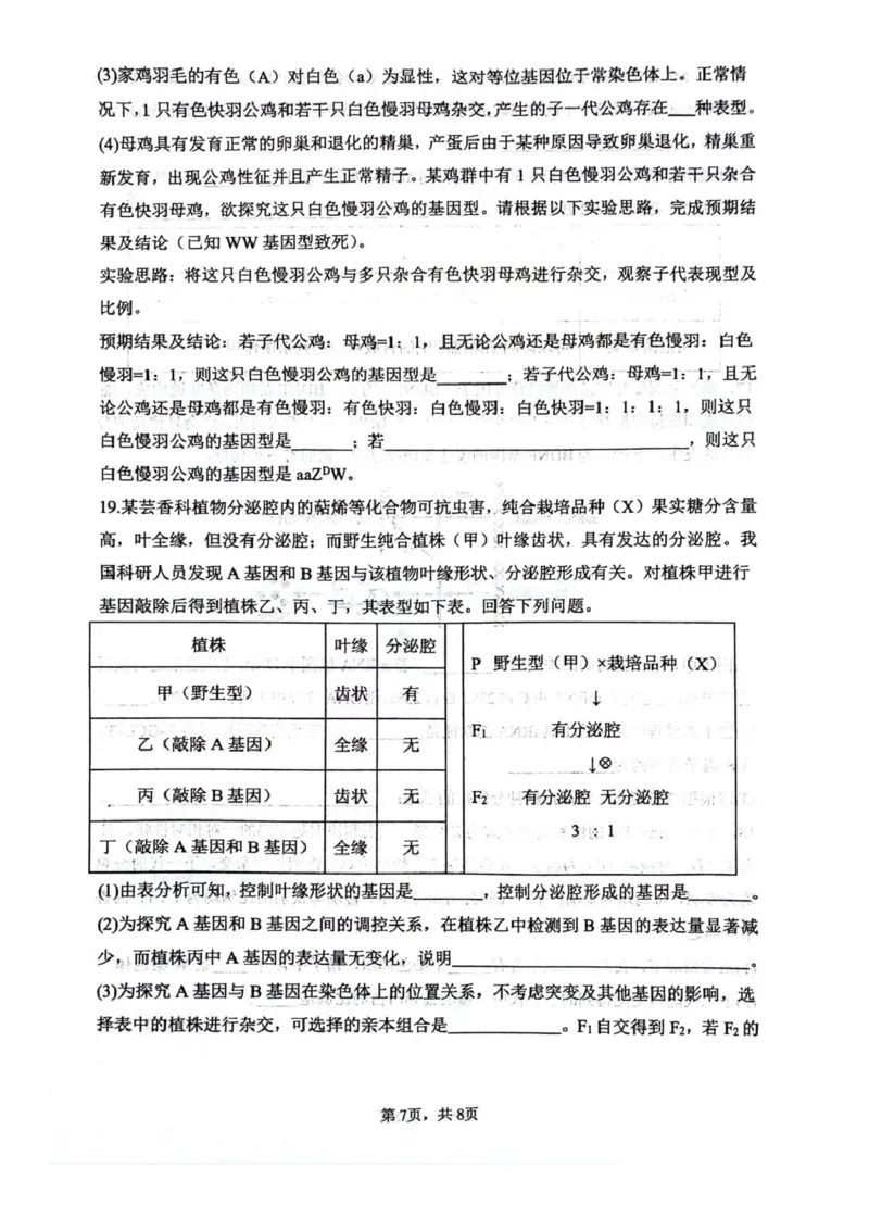 四川省绵阳南山中学2026届高三上学期第一次教学质量检测试题生物PDF版含答案_2025年9月_250904四川省绵阳南山中学2026届高三上学期第一次教学质量检测