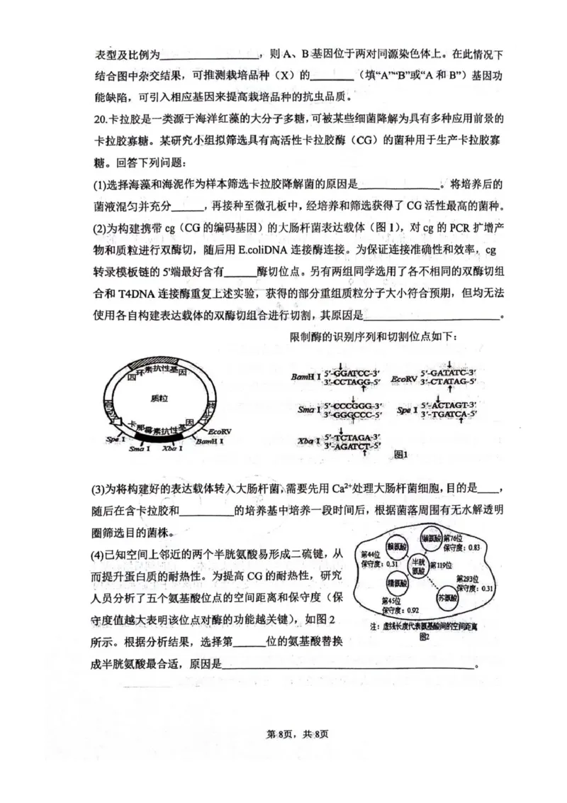 四川省绵阳南山中学2026届高三上学期第一次教学质量检测试题生物PDF版含答案_2025年9月_250904四川省绵阳南山中学2026届高三上学期第一次教学质量检测