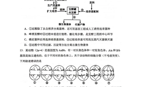 四川省绵阳南山中学2026届高三上学期第一次教学质量检测试题生物PDF版含答案_2025年9月_250904四川省绵阳南山中学2026届高三上学期第一次教学质量检测