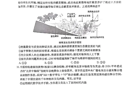河北省金太阳2025届高三3月联考政治_2025年3月_250315河北省金太阳2025届高三3月联考（高三诊断性模拟考试）（全科）_河北省金太阳2025届高三3月联考政治