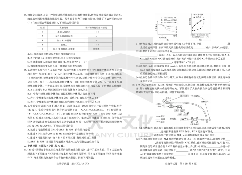 生物天一大联考&middot;2024-2025学年（下）高三第二次四省联考（陕西、山西、青海、宁夏）_2025年5月_天一大联考2024-2025学年（下）高三第二次四省联考（陕西、山西、青海、宁夏）
