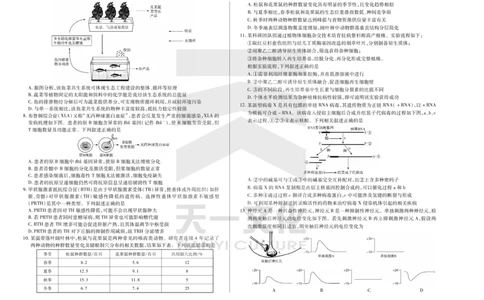 生物天一大联考&middot;2024-2025学年（下）高三第二次四省联考（陕西、山西、青海、宁夏）_2025年5月_天一大联考2024-2025学年（下）高三第二次四省联考（陕西、山西、青海、宁夏）
