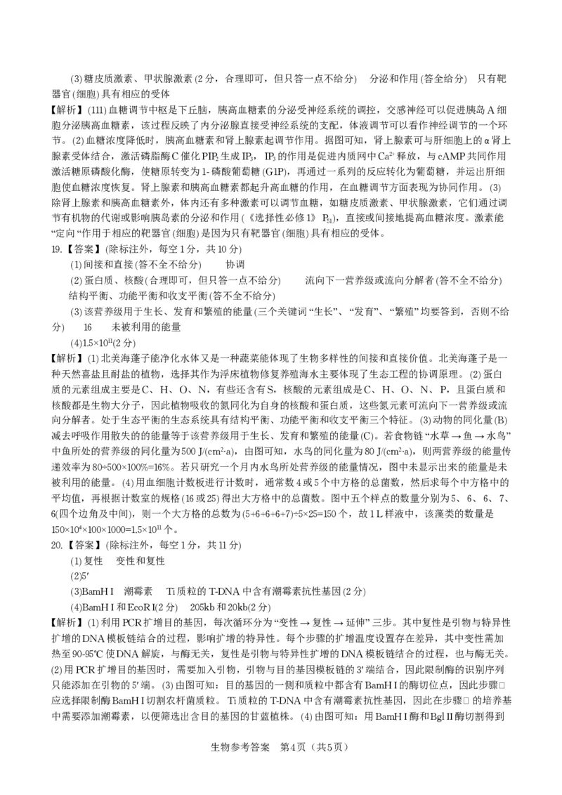 生物答案&middot;2025年9月高三开学联考_2025年9月_250909安徽省皖江名校联盟2026届高三9月开学摸底考试（全科）_生物