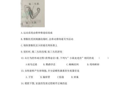 陕西省2019年中考生物真题试题_中考真题_8.生物中考真题2015-2024年_2019年全国中考生物92份