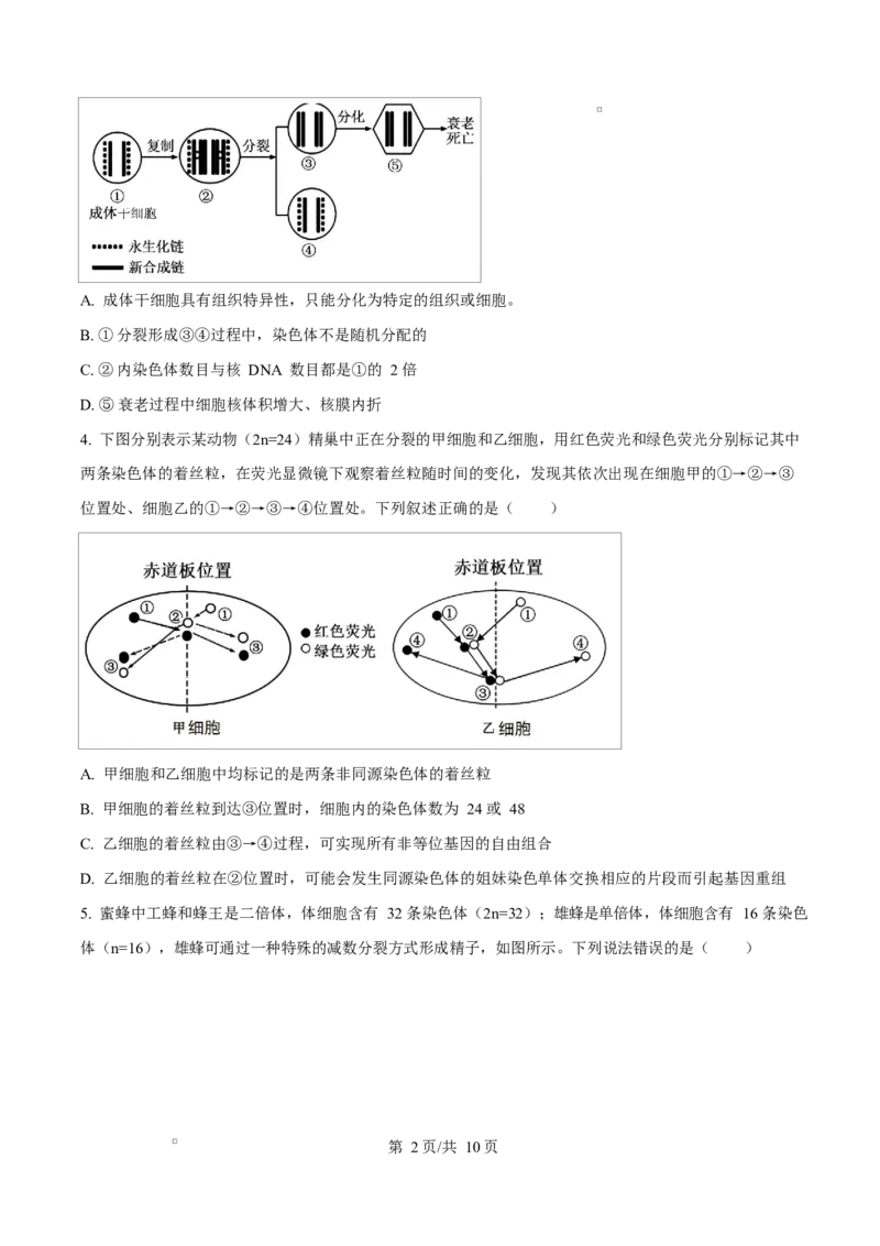 天津市南开大学附中2025年高三上学期第一次阶段检测+生物_2025年10月_251002天津市南开大学附中2025年高三上学期第一次阶段检测（全科）