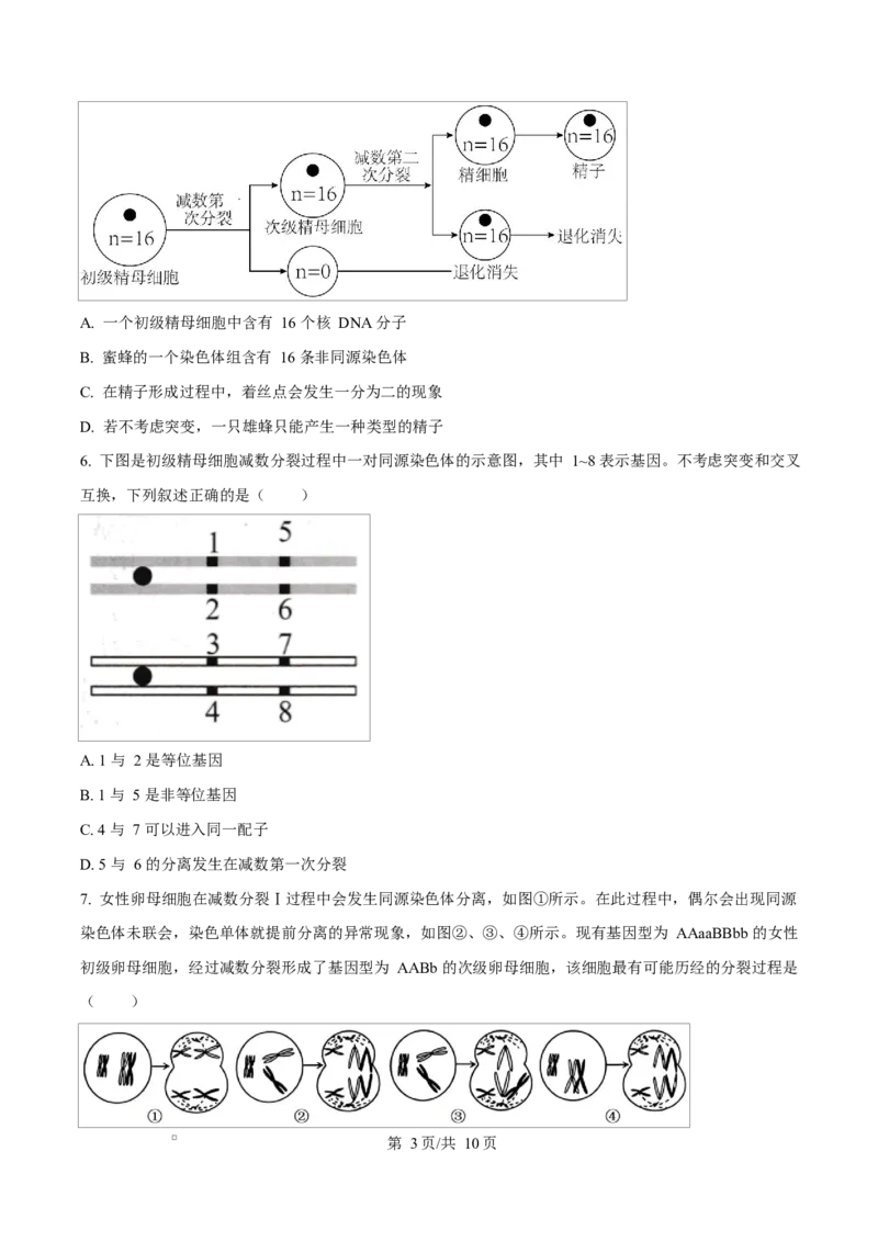 天津市南开大学附中2025年高三上学期第一次阶段检测+生物_2025年10月_251002天津市南开大学附中2025年高三上学期第一次阶段检测（全科）