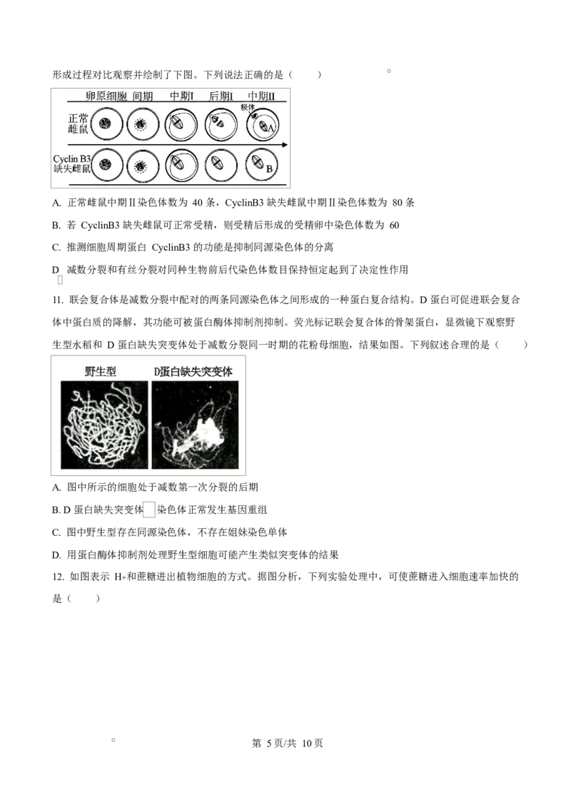 天津市南开大学附中2025年高三上学期第一次阶段检测+生物_2025年10月_251002天津市南开大学附中2025年高三上学期第一次阶段检测（全科）