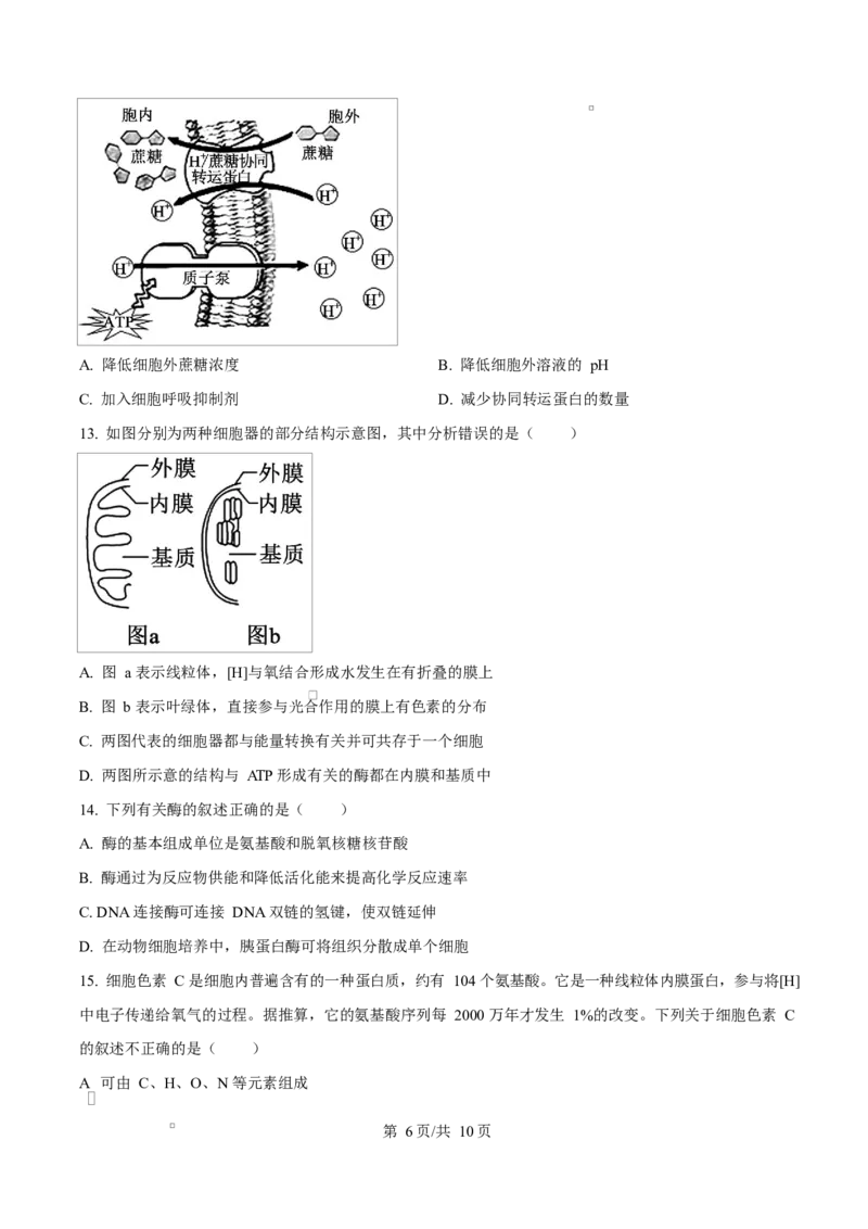 天津市南开大学附中2025年高三上学期第一次阶段检测+生物_2025年10月_251002天津市南开大学附中2025年高三上学期第一次阶段检测（全科）
