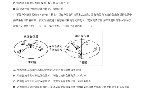 天津市南开大学附中2025年高三上学期第一次阶段检测+生物_2025年10月_251002天津市南开大学附中2025年高三上学期第一次阶段检测（全科）