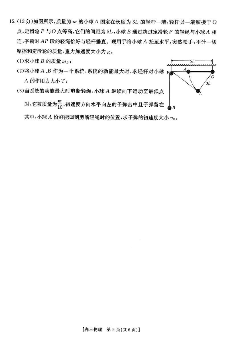 物理试题_2025年2月_250206福建省金太阳2024-2025学年高三下学期2月开学联考