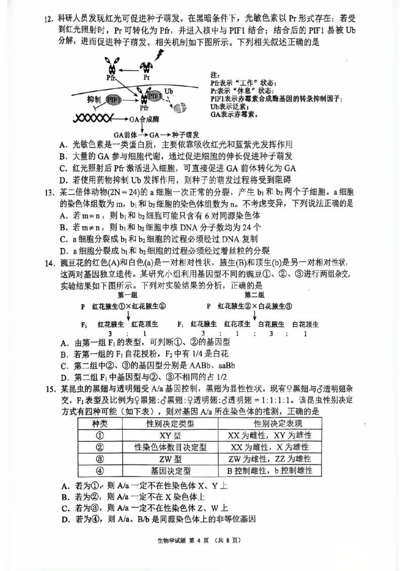 四川省（蓉城名校联盟）新高考2022级高三适应性考试生物_2025年5月_250516四川省（蓉城名校联盟）新高考2022级高三适应性考试（全科）