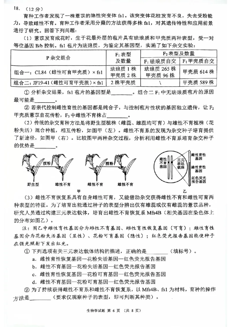 四川省（蓉城名校联盟）新高考2022级高三适应性考试生物_2025年5月_250516四川省（蓉城名校联盟）新高考2022级高三适应性考试（全科）