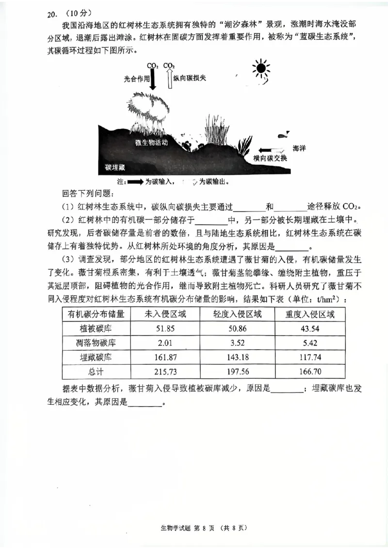 四川省（蓉城名校联盟）新高考2022级高三适应性考试生物_2025年5月_250516四川省（蓉城名校联盟）新高考2022级高三适应性考试（全科）