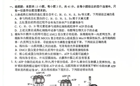 四川省（蓉城名校联盟）新高考2022级高三适应性考试生物_2025年5月_250516四川省（蓉城名校联盟）新高考2022级高三适应性考试（全科）