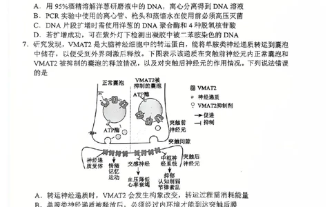 四川省（蓉城名校联盟）新高考2022级高三适应性考试生物_2025年5月_250516四川省（蓉城名校联盟）新高考2022级高三适应性考试（全科）