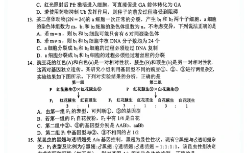 四川省（蓉城名校联盟）新高考2022级高三适应性考试生物_2025年5月_250516四川省（蓉城名校联盟）新高考2022级高三适应性考试（全科）