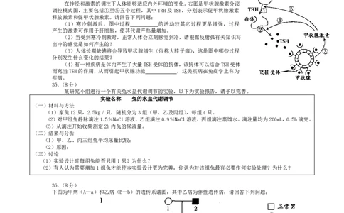 2008年高考生物试卷（广东）（解析卷）_生物历年高考真题_新&middot;PDF版2008-2025&middot;高考生物真题_生物（按试卷类型分类）2008-2025_自主命题卷&middot;生物（2008-2025）