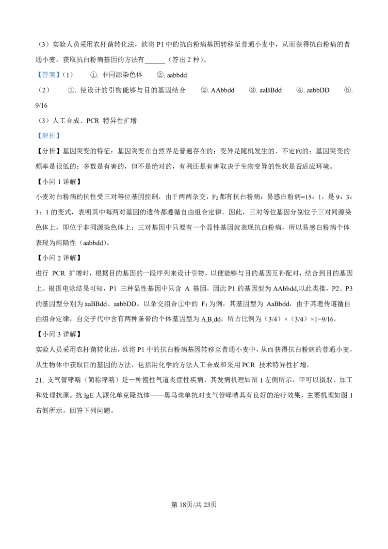 生物答案_2025年4月_250419河北省石家庄市第一中学2025届高考第二次模拟考试（全科）