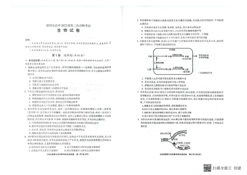 四川省德阳市高中2022级第三次诊断考试生物_2025年4月_250426四川省德阳市高中2022级第三次诊断考试（德阳三诊）（全科）