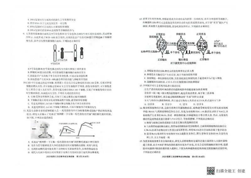 四川省德阳市高中2022级第三次诊断考试生物_2025年4月_250426四川省德阳市高中2022级第三次诊断考试（德阳三诊）（全科）