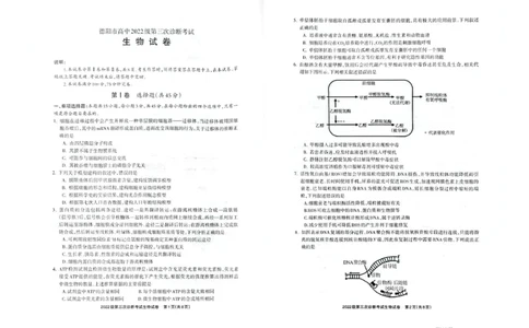 四川省德阳市高中2022级第三次诊断考试生物_2025年4月_250426四川省德阳市高中2022级第三次诊断考试（德阳三诊）（全科）