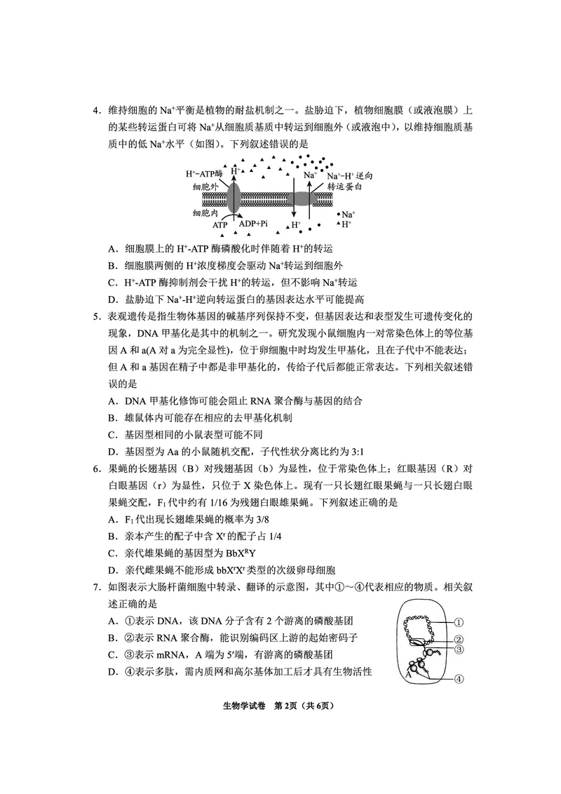 贵州省毕节市2025届高三年级高考第二次适应性考试生物_2025年3月_250313贵州省毕节市2025届高三年级高考第二次适应性考试（毕节二诊）（全科）