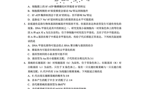 贵州省毕节市2025届高三年级高考第二次适应性考试生物_2025年3月_250313贵州省毕节市2025届高三年级高考第二次适应性考试（毕节二诊）（全科）