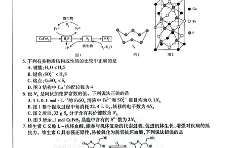 安徽省天一大联考2025届高三3月调研考试化学_2025年3月_250308安徽省天一大联考2025届高三3月调研考试（全科）_安徽省天一大联考2025届高三3月调研考试化学