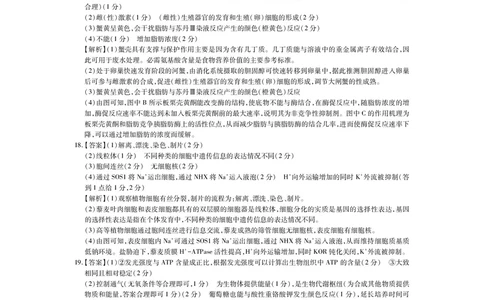 江西省2026届高三10月一轮复习阶段检测生物答案_2025年10月_251015上进联考&middot;江西省2026届高三10月一轮复习阶段检测（全科）