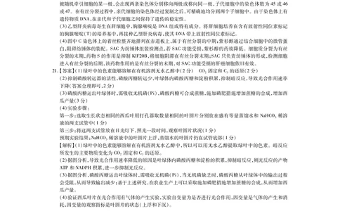 江西省2026届高三10月一轮复习阶段检测生物答案_2025年10月_251015上进联考&middot;江西省2026届高三10月一轮复习阶段检测（全科）