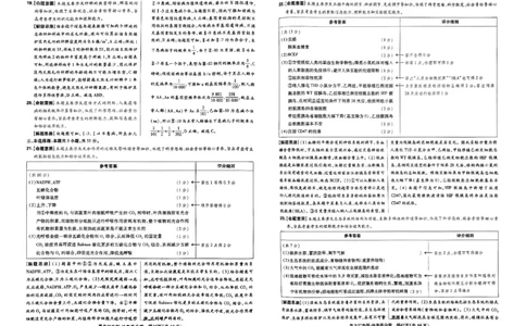 2024王后雄黑龙江专版&mdash;&mdash;生物答案_2024高考押题卷_22024王hou雄_（新高考）2024王后雄押题预测卷（分科版）_6.生物