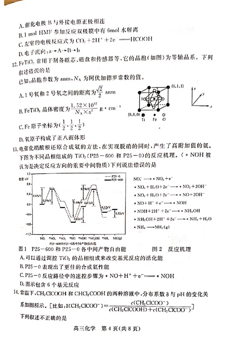 河北省廊坊市2024～2025学年度高三第一学期期末考试化学_2025年1月_250113河北省廊坊市2025届高三上学期1月期末考试