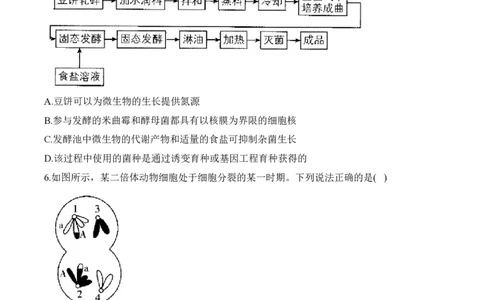 2024届明日之星高考理科综合精英模拟卷新课标卷_2024高考押题卷_72024正确教育全系列_2024明日之星全系列_（新高考）2024《明日之星&middot;高考精英模拟卷》（九科全）各一套