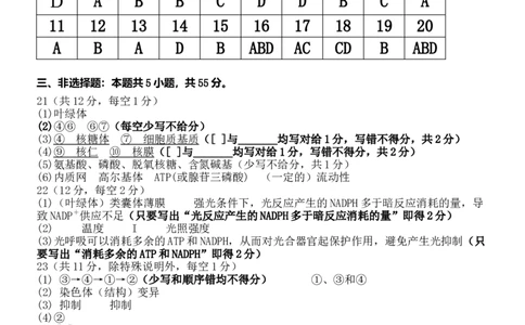 滨城高中联盟2025-2026学年度上学期高三10月份答案_2025年10月_12026年试卷教辅资源等多个文件_251031辽宁省大连市滨城高中联盟2026届高三上学期10月份月考（期中）