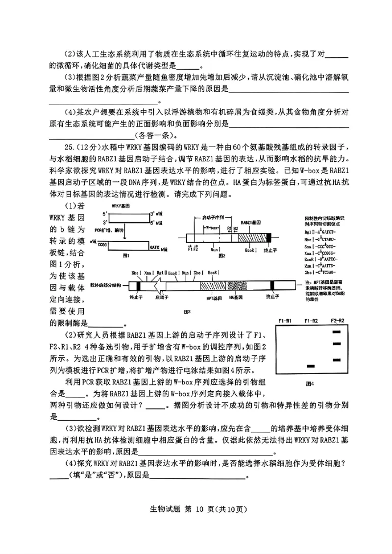 山东省九五高中协作体2025高三年级质量检测（九五联考）生物_2025年5月_250515山东省九五高中协作体2025高三年级质量检测（东营二模）（全科）