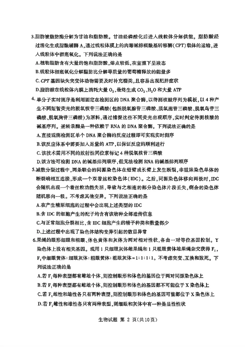 山东省九五高中协作体2025高三年级质量检测（九五联考）生物_2025年5月_250515山东省九五高中协作体2025高三年级质量检测（东营二模）（全科）