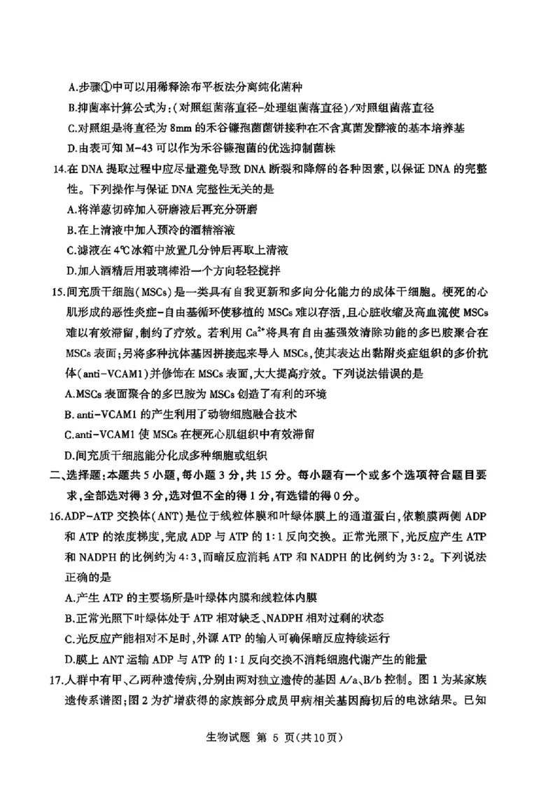 山东省九五高中协作体2025高三年级质量检测（九五联考）生物_2025年5月_250515山东省九五高中协作体2025高三年级质量检测（东营二模）（全科）